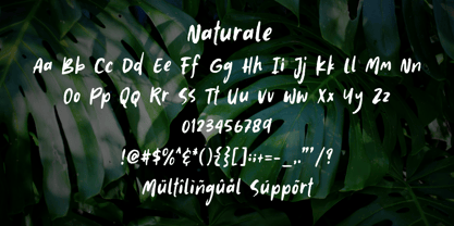 Naturale Font Poster 10