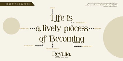 Revillia Font Poster 6