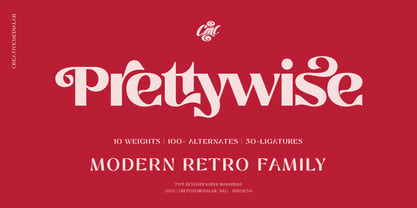Prettywise Font Poster 1