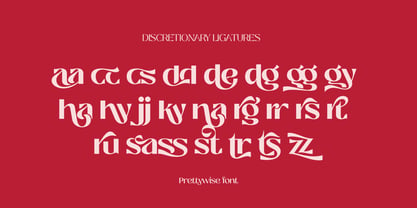 Prettywise Font Poster 4