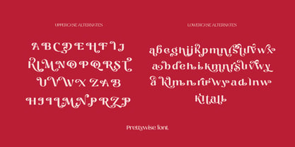 Prettywise Font Poster 9