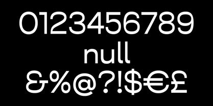 WT Null Font Poster 7