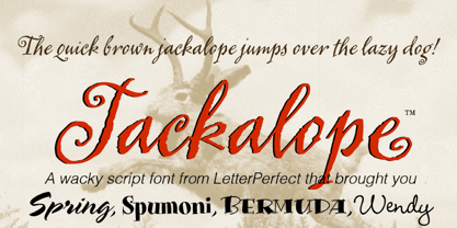 Jackalope LP Font Poster 1