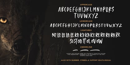 Crooked Hooks Font Poster 6