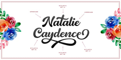 Natalie Caydence Font Poster 8