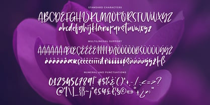 Lovely Purple Font Poster 9