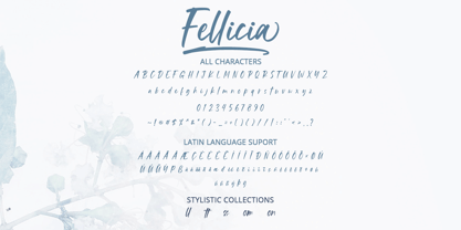 Fellicia Font Poster 2