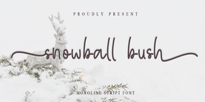 Snowball Bush Font Poster 1