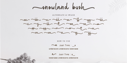 Snowball Bush Font Poster 9