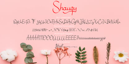 Shauqy Font Poster 6