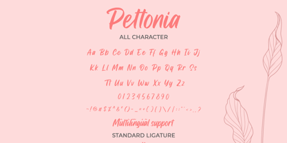 Pettonia Font Poster 2