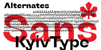KyivType Sans Font Poster 4