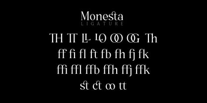Monesta Font Poster 13