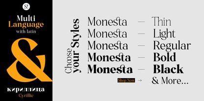 Monesta Font Poster 2