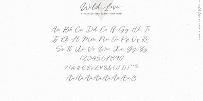 Wild Love Font Poster 9