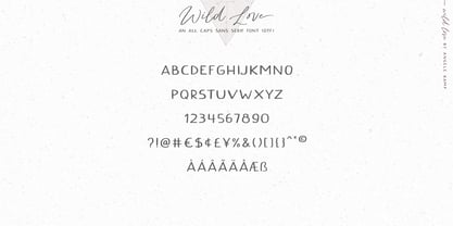 Wild Love Font Poster 11