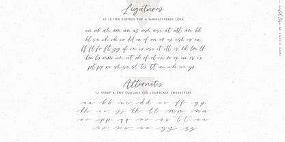 Wild Love Font Poster 10