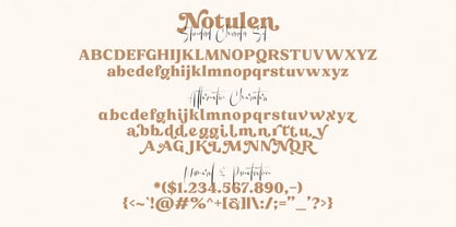 Notulen Serif Display Fuente Póster 10