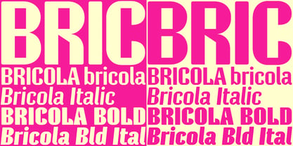 Bricola Font Poster 9