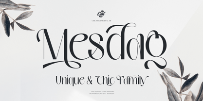 Mesdag Font Poster 1