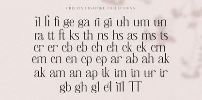 Chelvin Serif Font Poster 11
