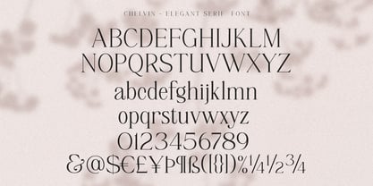 Chelvin Serif Font Poster 9