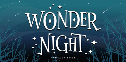 Wonder Night Font Poster 1