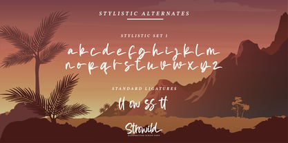 Strowild Font Poster 7
