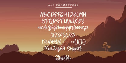 Strowild Font Poster 6