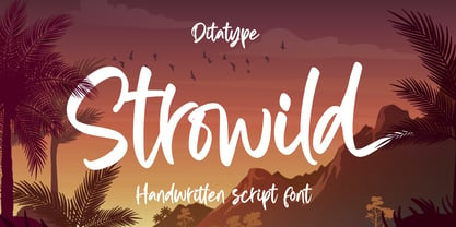 Strowild Font Poster 1