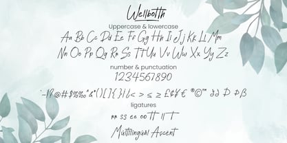 Wellbotth Font Poster 6