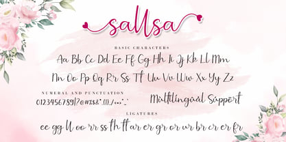 Sallsa Font Poster 9