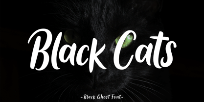 Black Ghost Font Poster 9
