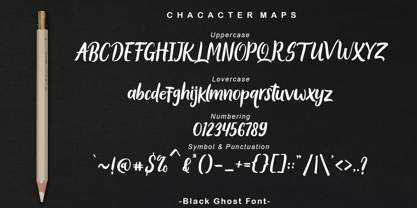 Black Ghost Font Poster 10