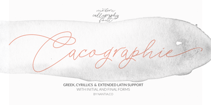 Cacographie Font Poster 1