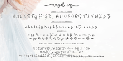 Angel Cry Font Poster 7
