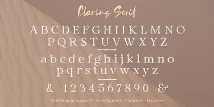 Clarins Font Poster 12