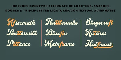Magnetic Script Font Poster 4