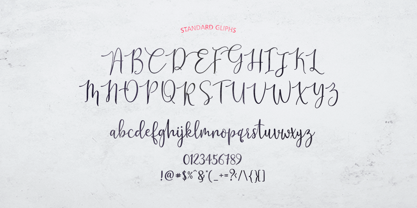 Platipus Script Font Poster 4