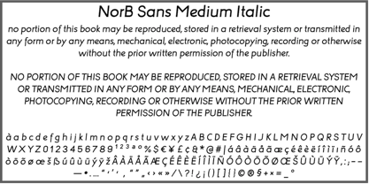 NorB Sans Font Poster 12