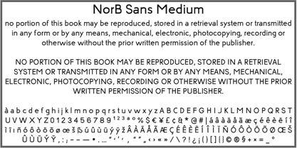 NorB Sans Font Poster 10