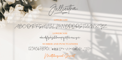 Jalliestha Font Poster 14