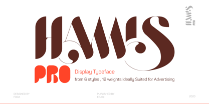 Hamis Pro Font Poster 1