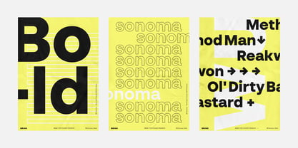 BR Sonoma Font Poster 11