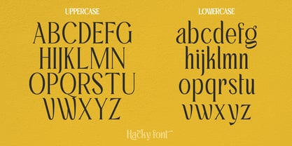 Hacky Font Poster 5