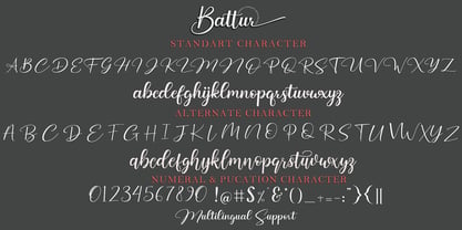 Battur Font Poster 13