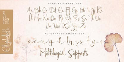 Ellyshabeth Font Poster 8