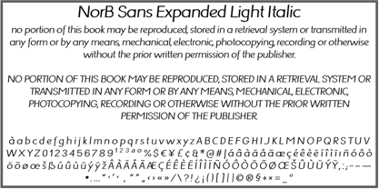 NorB Sans Expanded Font Poster 2