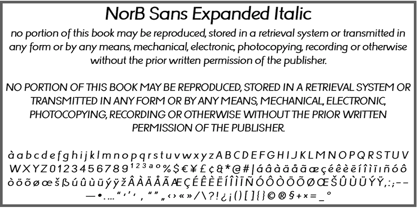 NorB Sans Expanded Fuente Póster 4
