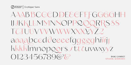 Erotique Sans Font Poster 4